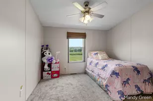 1007 Dildine Rd, Ionia, MI 48846 - Photo 24
