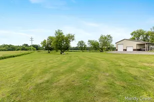 1007 Dildine Rd, Ionia, MI 48846 - Photo 30