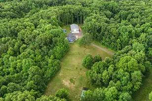 11803 Hoffman Rd, Three Rivers, MI 49093 - Photo 52