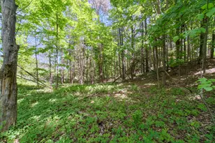 7247 Severence St, Benzonia, MI 49616 - Photo 58