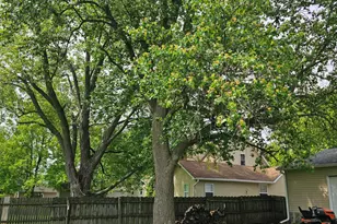 1011 State St, Adrian, MI 49221 - Photo 34
