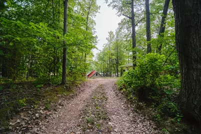 6387 N Larson Road, Fountain, MI 49410 - Photo 50