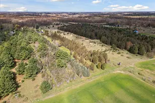 1366 Grow Rd NW, Stanton, MI 48888 - Photo 40
