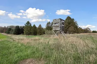 1366 Grow Rd NW, Stanton, MI 48888 - Photo 28