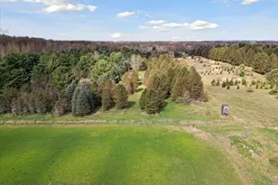 1366 Grow Rd NW, Stanton, MI 48888 - Photo 38