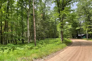 8725 W River Rd, Irons, MI 49644 - Photo 36
