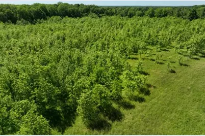 63531 Dailey Road, Cassopolis, MI 49031 - Photo 18