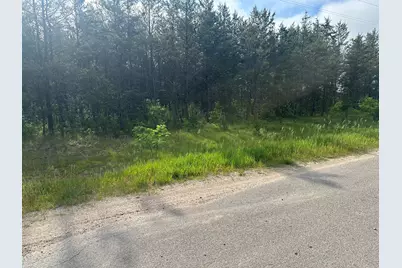10424 N Merrillville Road, Irons, MI 49644 - Photo 8