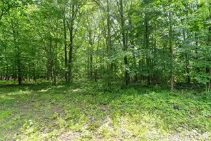 5218 Fillmore St, Allendale, MI 49401 - Photo 46