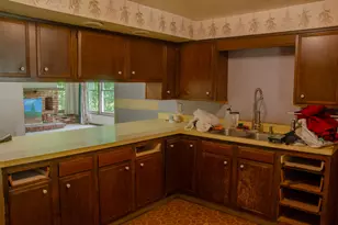 321 S Main St, Bellevue, MI 49021 - Photo 10