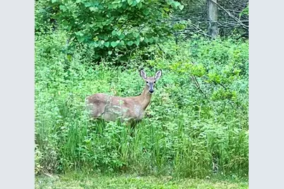 18610 M 86, Three Rivers, MI 49093 - Photo 122