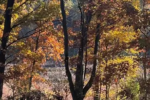 18610 M 86, Three Rivers, MI 49093 - Photo 132