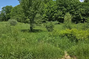 475 Tyler Rd, Wayland, MI 49348 - Photo 16