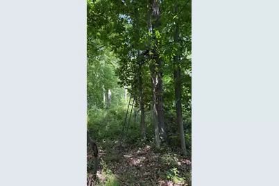 28 Mile Road, Albion, MI 49224 - Photo 12