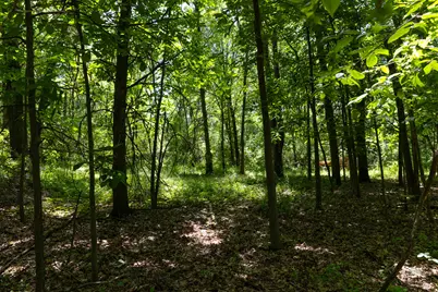 28 Mile Road, Albion, MI 49224 - Photo 14