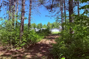 5962 11 Mile Rd, Bitely, MI 49309 - Photo 60