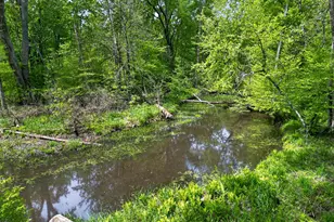 5962 11 Mile Rd, Bitely, MI 49309 - Photo 52