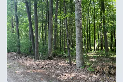 11409 Heather Lane #35, Canadian Lakes, MI 49346 - Photo 1
