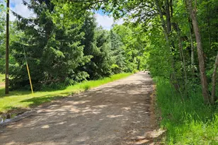 383 W 8 Mile Rd, White Cloud, MI 49349 - Photo 4