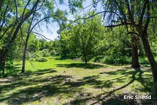 222 East Ave, Fremont, MI 49412 - Photo 72