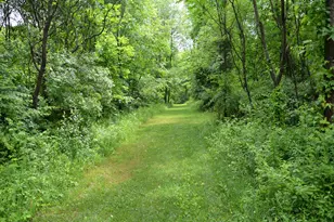 8874 1 Mile Rd, East Leroy, MI 49051 - Photo 76