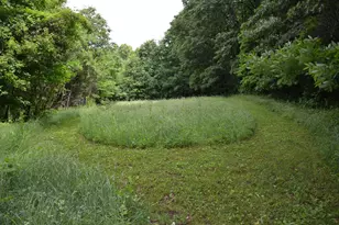 8874 1 Mile Rd, East Leroy, MI 49051 - Photo 86