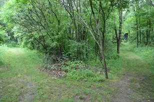 8874 1 Mile Rd, East Leroy, MI 49051 - Photo 88