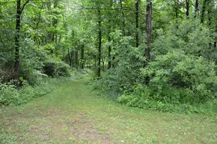 8874 1 Mile Rd, East Leroy, MI 49051 - Photo 82