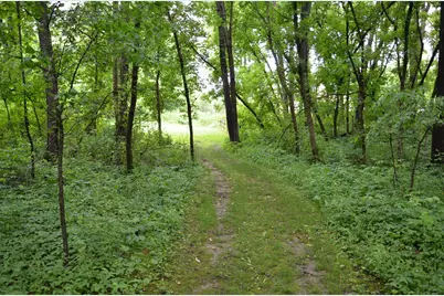 8874 1 Mile Road, East Leroy, MI 49051 - Photo 90