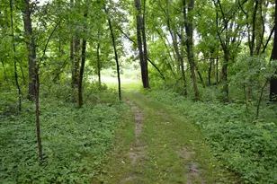 8874 1 Mile Rd, East Leroy, MI 49051 - Photo 90