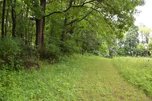 8874 1 Mile Rd, East Leroy, MI 49051 - Photo 84