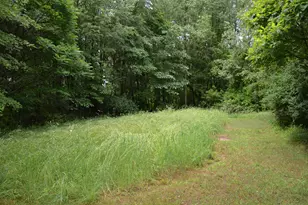 8874 1 Mile Rd, East Leroy, MI 49051 - Photo 80