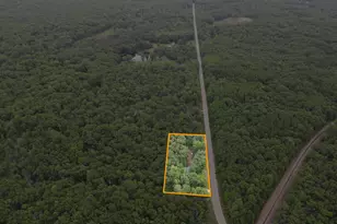 1293 W Grant St, Bitely, MI 49309 - Photo 2