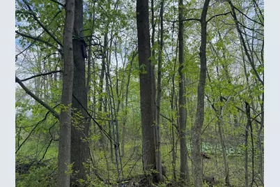 3 Bunkerhill Road, Jackson, MI 49201 - Photo 12