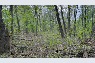 3 Bunkerhill Road, Jackson, MI 49201 - Photo 16