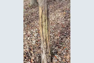 E L, Kalamazoo, MI 49048 - Photo 2