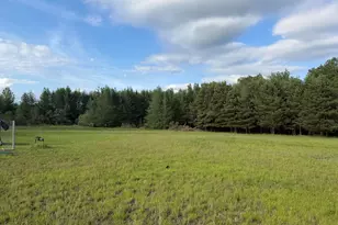 5236 110th Ave, Evart, MI 49631 - Photo 44