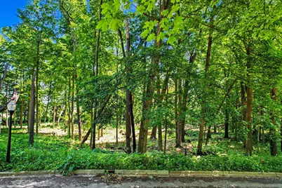 911 N Wooded Lane, Marshall, MI 49068 - Photo 10