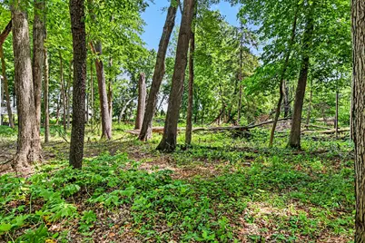 911 N Wooded Lane, Marshall, MI 49068 - Photo 6