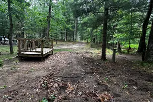 6552 W 11 1/2 Mile Rd, Irons, MI 49644 - Photo 30
