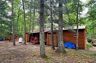 6552 W 11 1/2 Mile Rd, Irons, MI 49644 - Photo 24