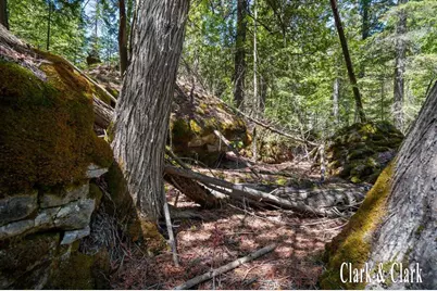 35965 S Humms Road, Drummond Island, MI 49726 - Photo 60