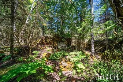 35965 S Humms Road, Drummond Island, MI 49726 - Photo 66