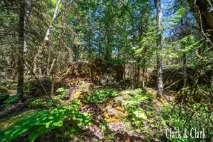 35965 S Humms Rd, Drummond Island, MI 49726 - Photo 66