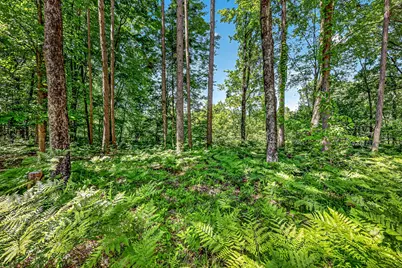 3821 W Baseline Road, White Cloud, MI 49349 - Photo 46