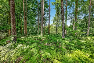 3821 W Baseline Rd, White Cloud, MI 49349 - Photo 46