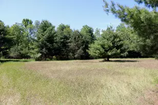 5595 75th Ave, Mecosta, MI 49332 - Photo 60
