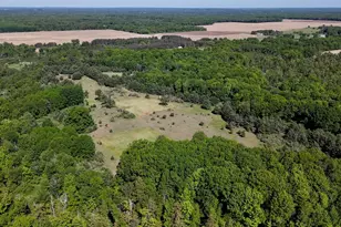 5595 75th Ave, Mecosta, MI 49332 - Photo 58