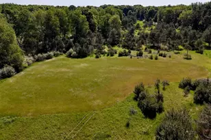 5595 75th Ave, Mecosta, MI 49332 - Photo 6