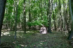 5595 75th Ave, Mecosta, MI 49332 - Photo 70